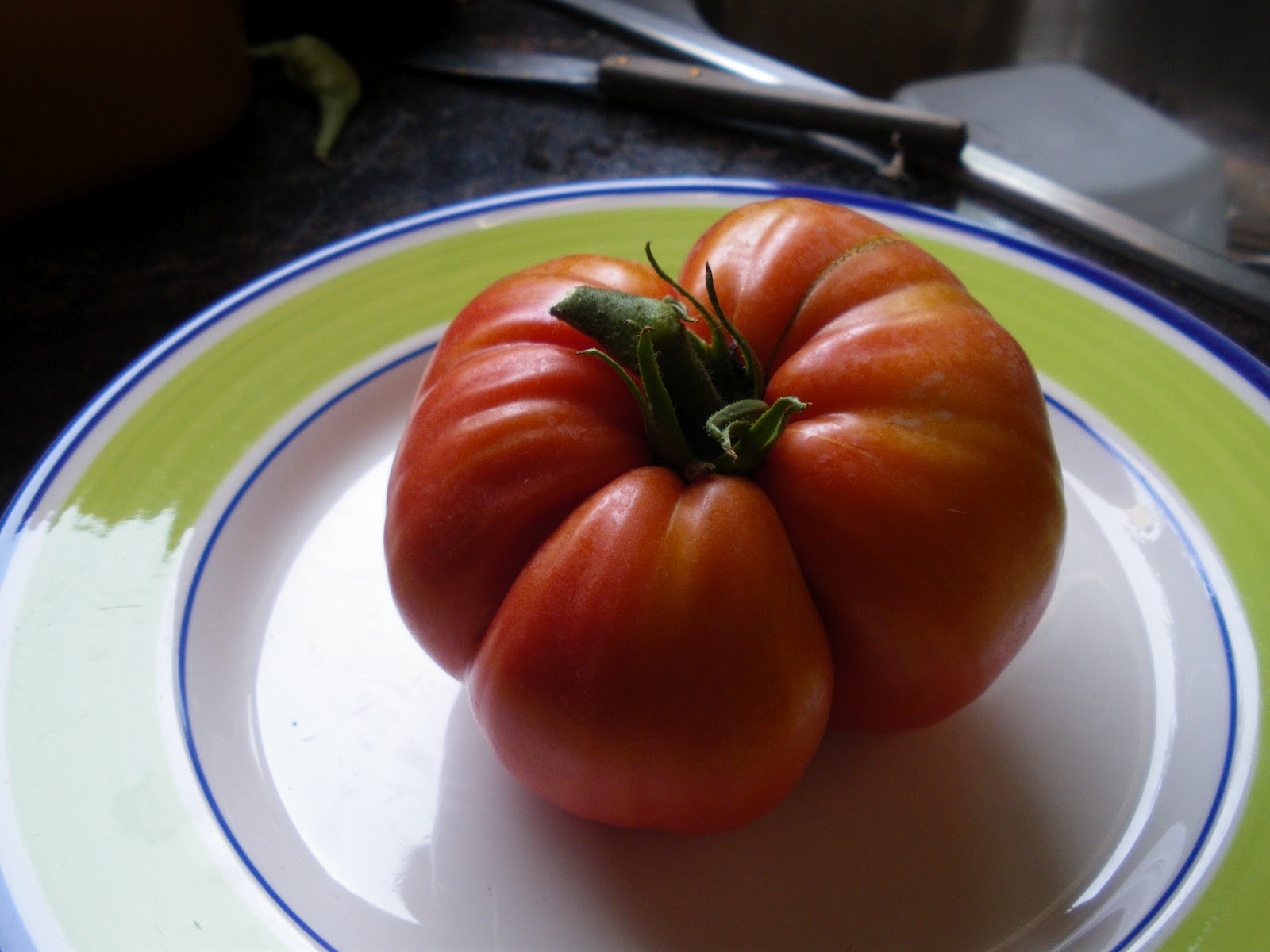 Huerto: Tomates 2012