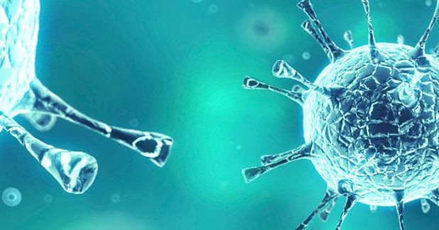 APIs Pharma Products: Медицинские последствия хлорамфеникол
