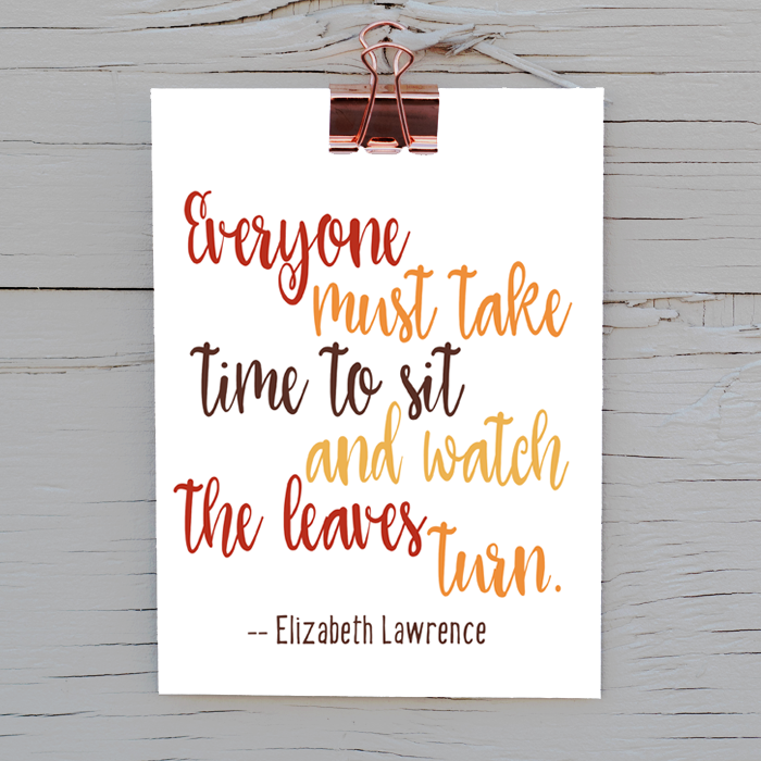 Eight Fall Printable Quotes | Download and print this big bundle of eight autumn printables. 8x10 sizes, ready to print and frame. Eight Fall Printable Quotes | Download and print this big bundle of eight autumn printables. 8x10 sizes, ready to print and frame.