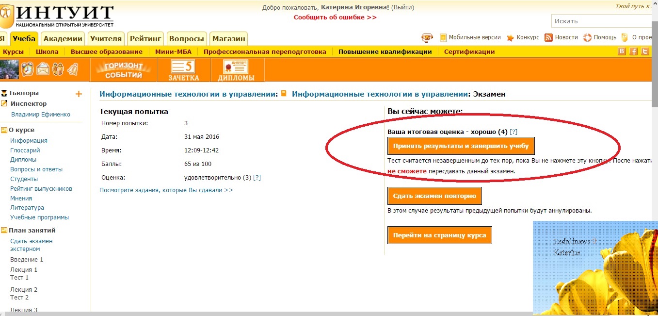 База интуит