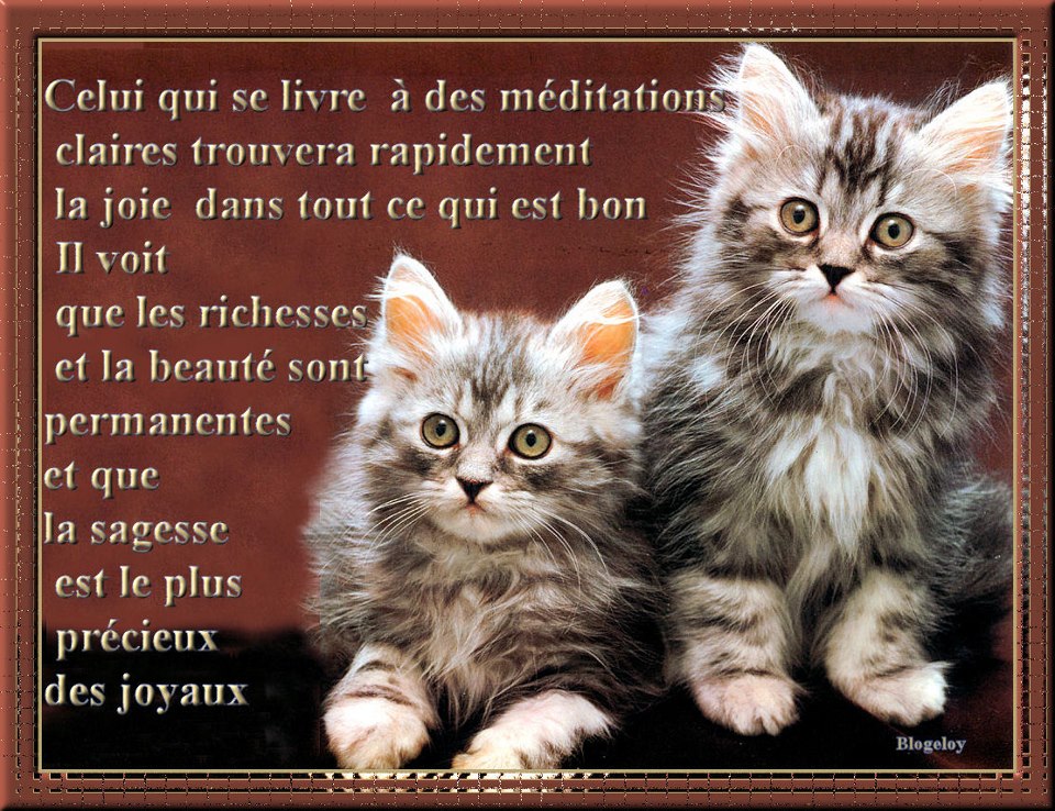 Citations et Panneaux Facebook à partager Citation sur la Citations et Panneaux Facebook à partager Citation sur la