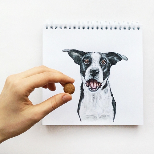 20-Stay-Valerie-Susik-Валерия-Суслопарова-Cats-and-Dogs-Interactive-Animal-Drawings-www-designstack-co