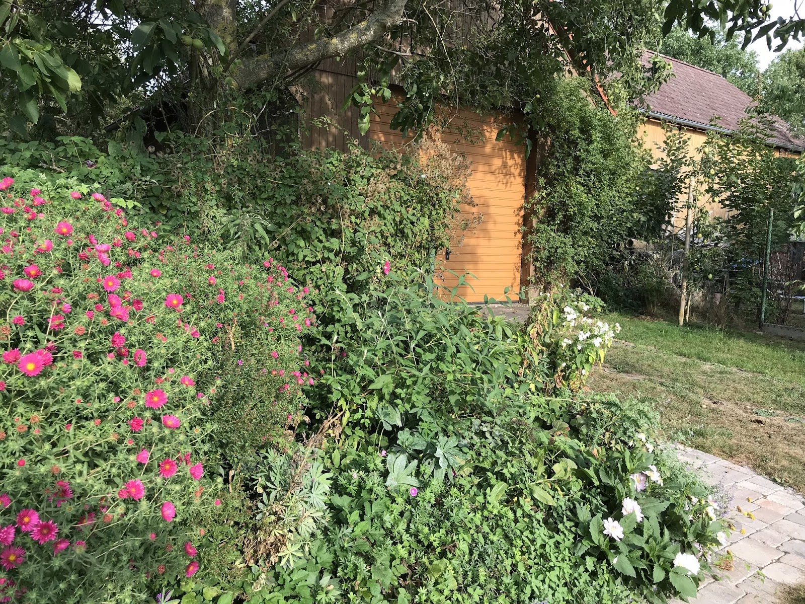 19562579600929539 Anrglfwa F Jpg 450 600 Diy Gartendekoration