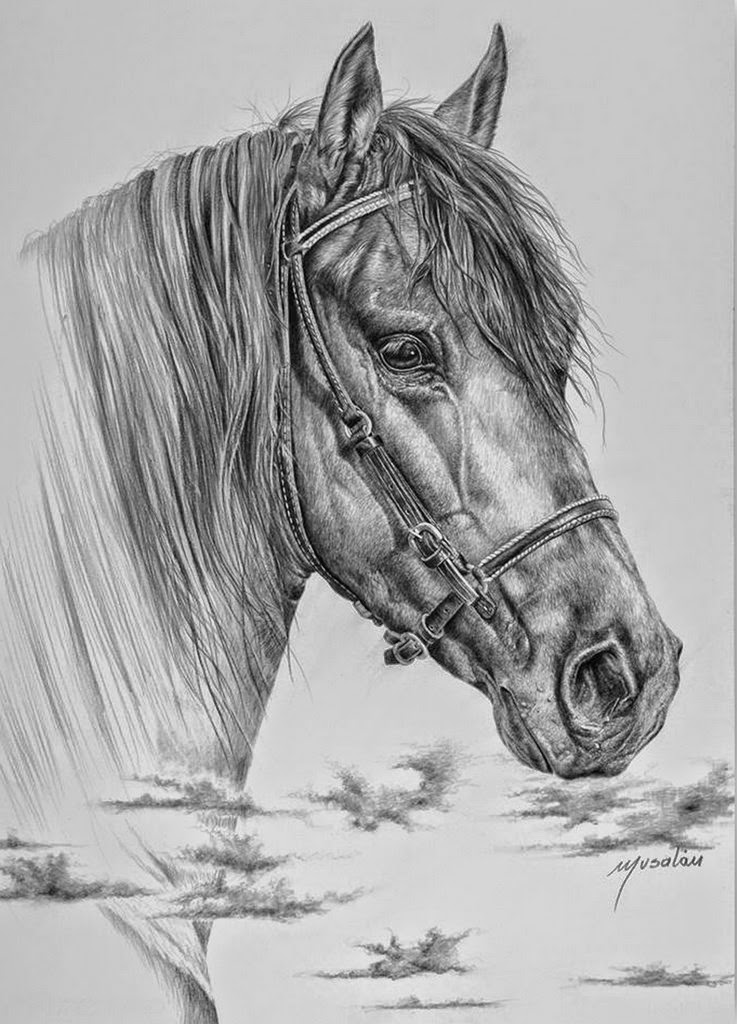 Dibujo A Lapiz De Caballo Montserrat Caballe Y Freddie Mercury