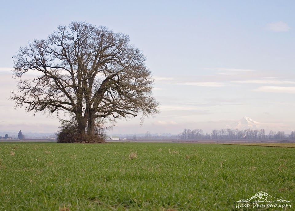 Sauvie Island Weather Forecast Sauvie Island Weather Forecast