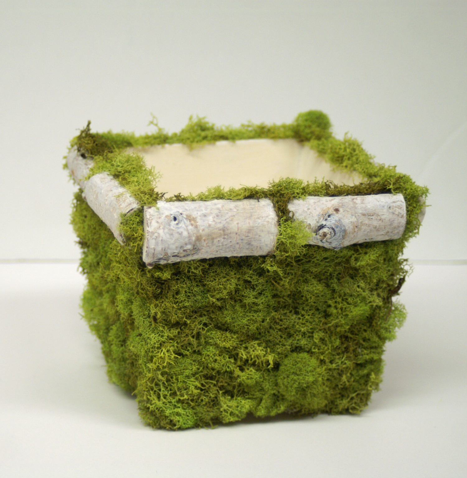 Ben Franklin Crafts and Frame Shop DIY Moss Planter