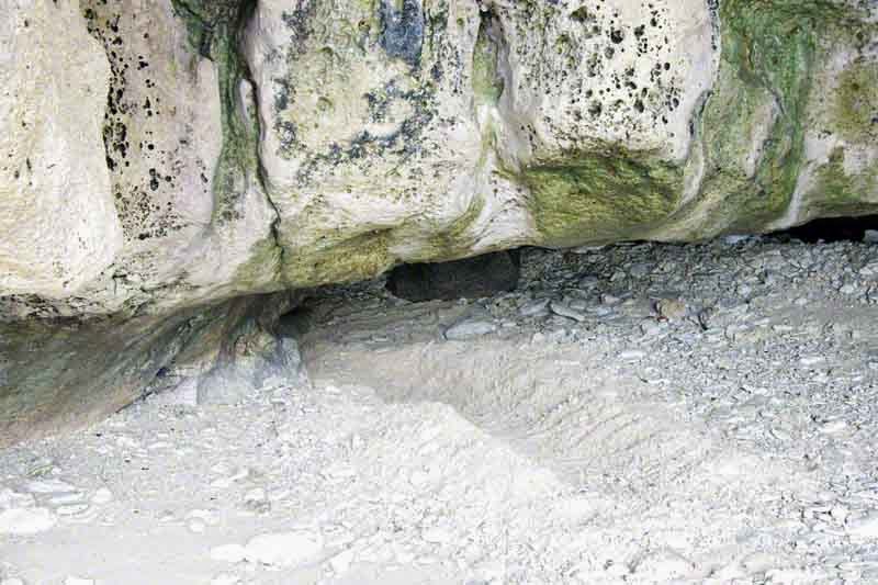 hole to crawl into sealevel cave