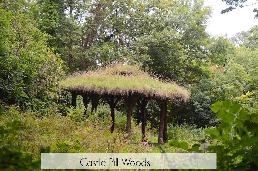 , A Woodland Walk- Castle Pill Woods