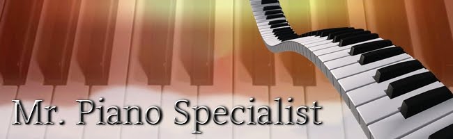 Mr piano. D dombrowski musician. Mr piano. Mr piano. Birdman piano.