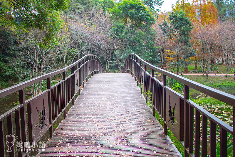 【奧萬大景點】 奧萬大國家森林遊樂園區路線。賞楓賞松還能賞櫻花