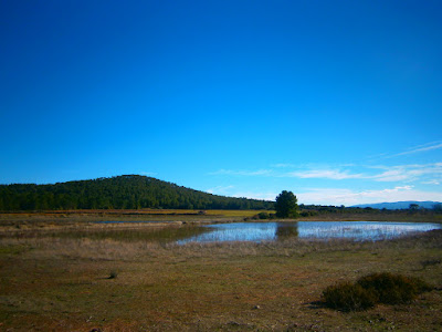 las lagunas de talayuelas, autor, miguel alejandro castillo moya