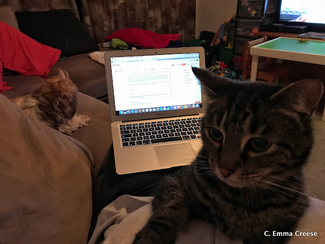 9 Things I Have Learnt In 3 Months As A Freelancer Adventures of a London Kiwi 9 Things I Have Learnt In 3 Months As A Freelancer Adventures of a London Kiwi