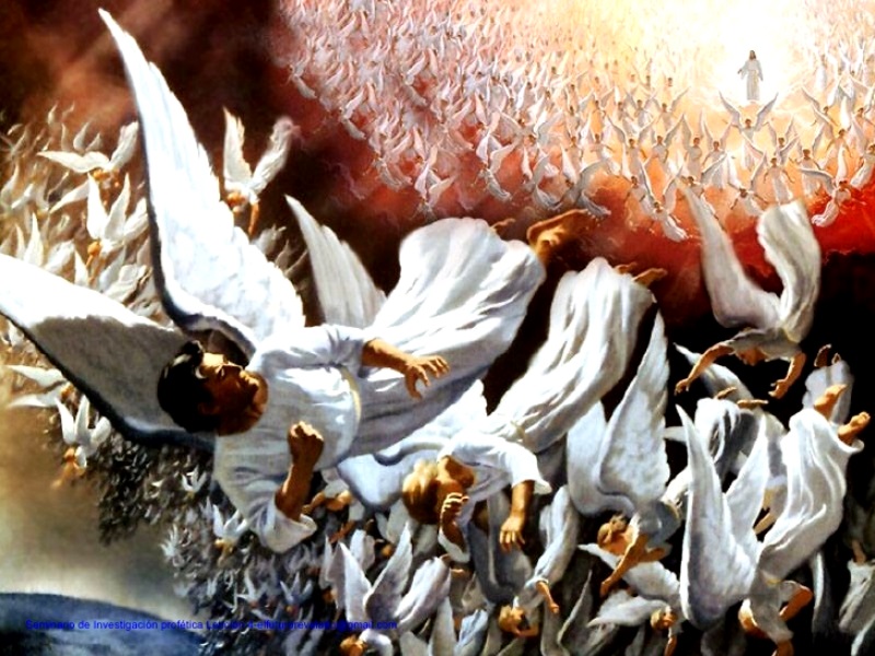 Compartiendo Biblia Estudio doctrinal