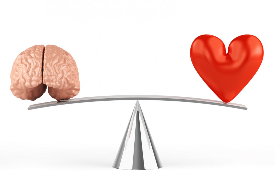 Yemek Saglik Yasam Hepsi Burada Kalp Gercekten Dusunur Veya Hisseder Mi