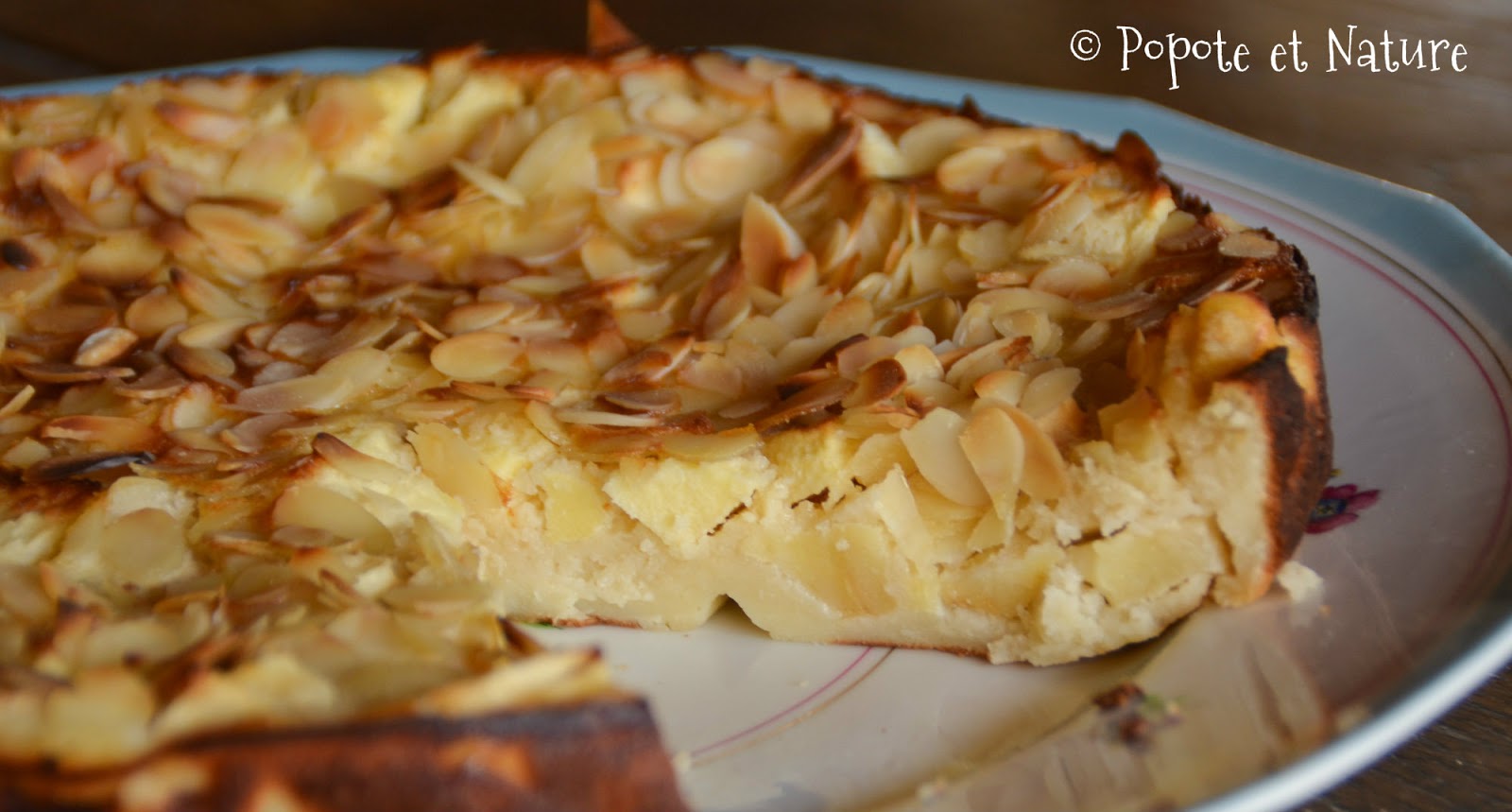 Popote Et Nature Un Bon Gros Gateau Aux Pommes Pour L