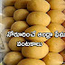 Famous food items in Andhra Pradesh