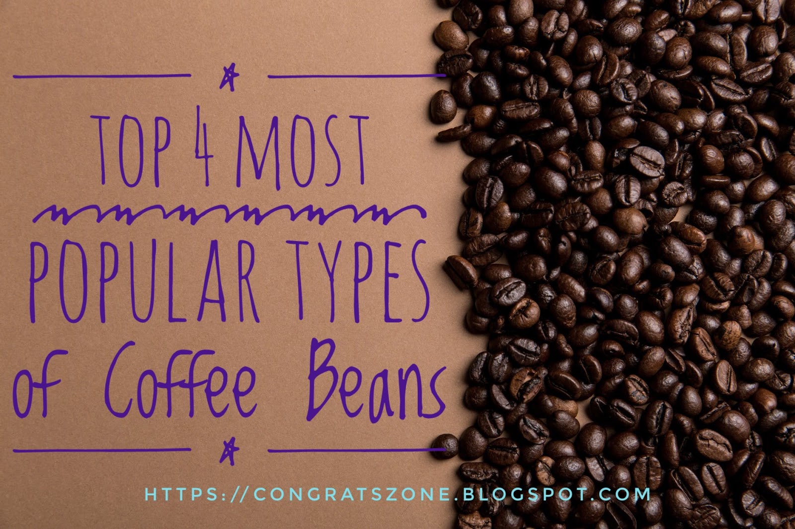 Top 4 Most Popular Types of Coffee Beans