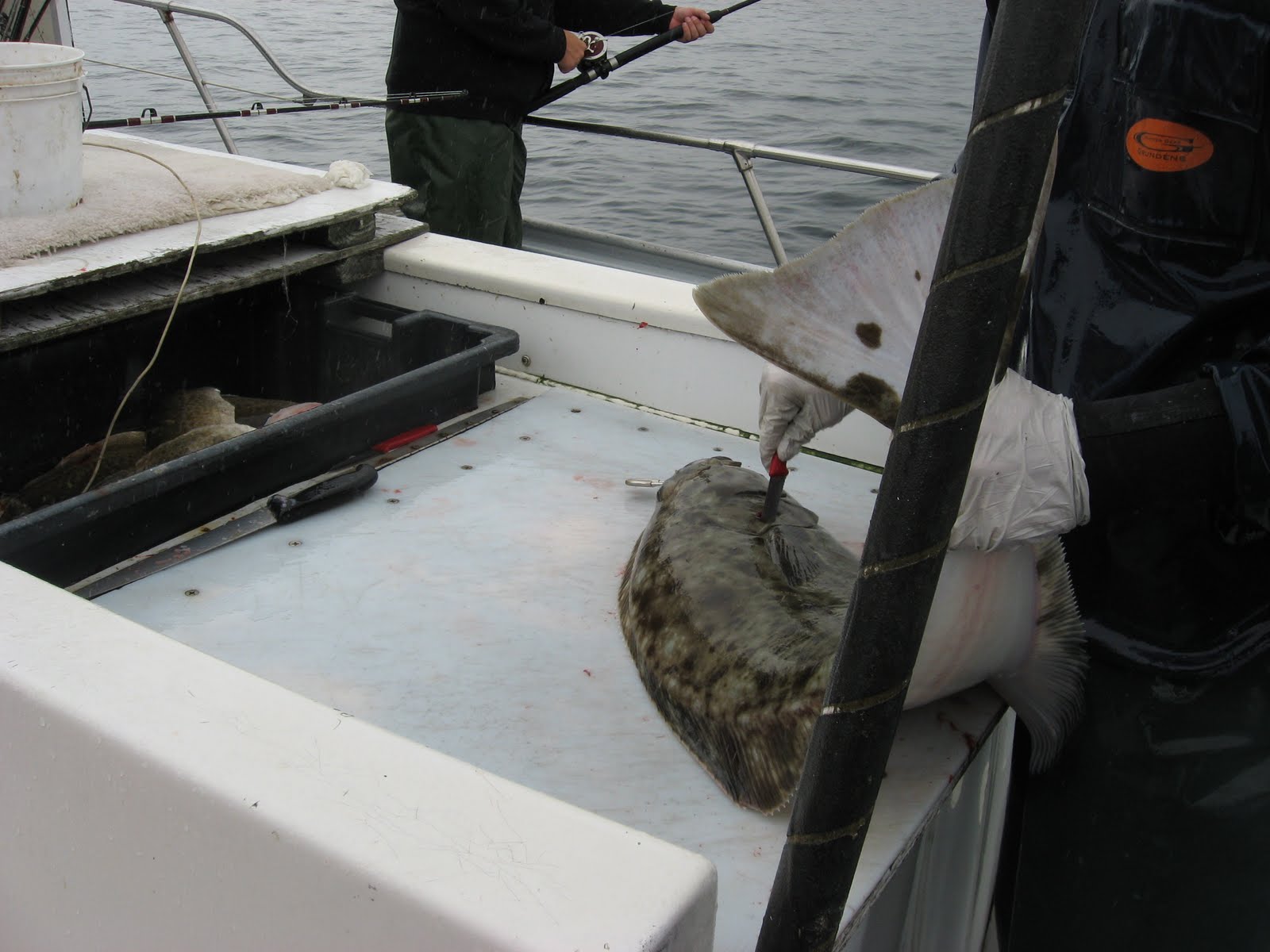 Severance Travels: Homer Fishing