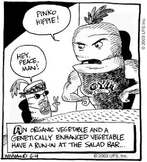 Hype catw essay image