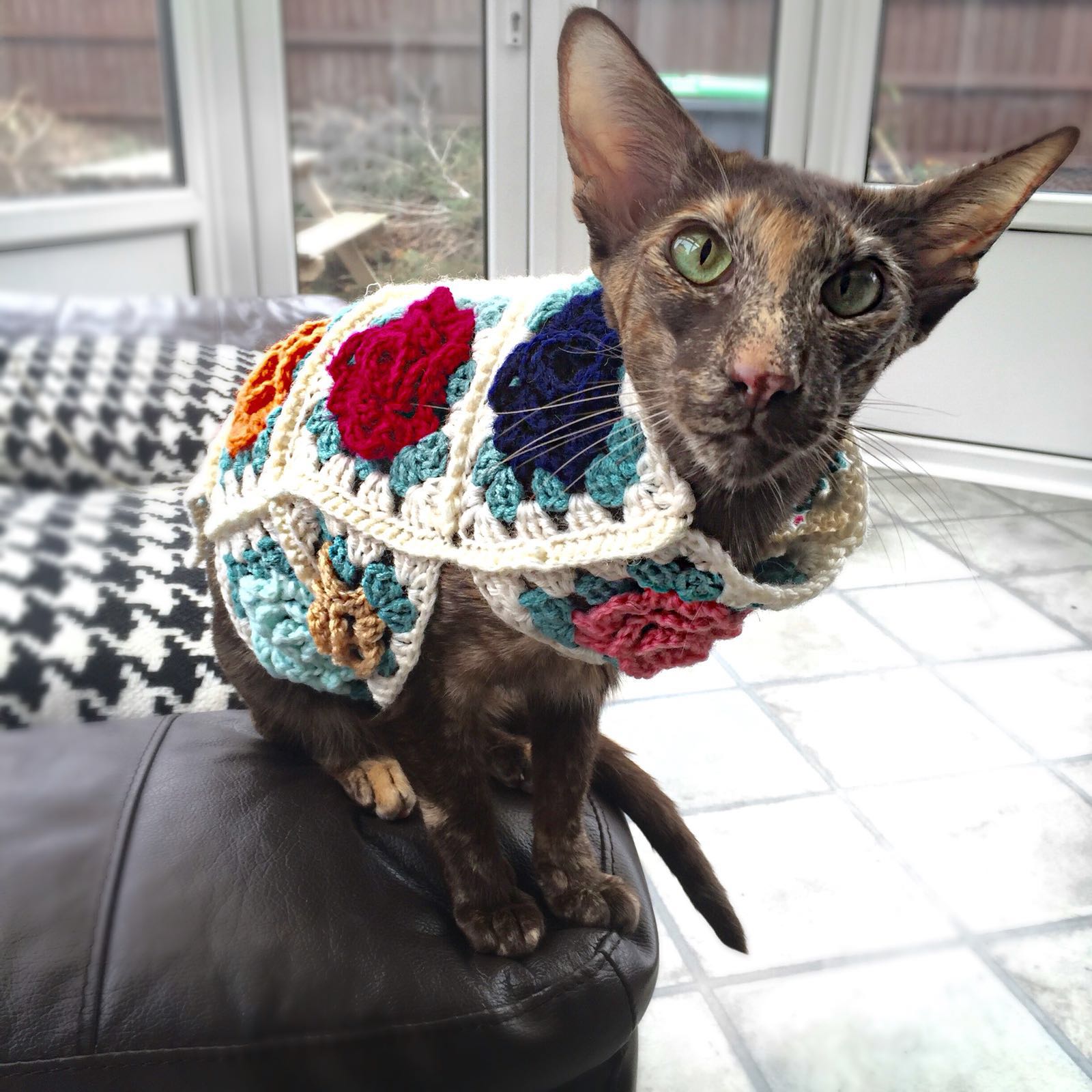 Mum's Simply Living Blog Crochet Granny Square Cat Coat