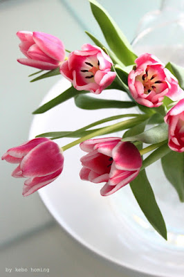 Blumen am Freitag mit Tulpen in pink bei kebo homing, Südtiroler Food- und Lifestyleblog, Styling und Fotografie