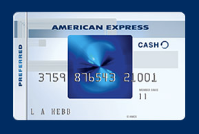 Relentless Financial Improvement American Express Blue Cash Credit Cards