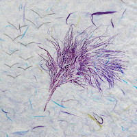 Veiled Flight