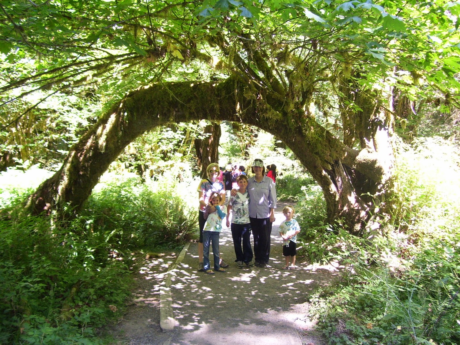 Mission Camping near the Hoh Rain forest