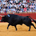 Sevilha: 'Ruidoso' e a toreria de Garrido