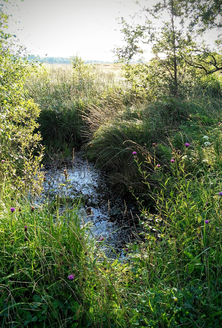 Connemara Ireland