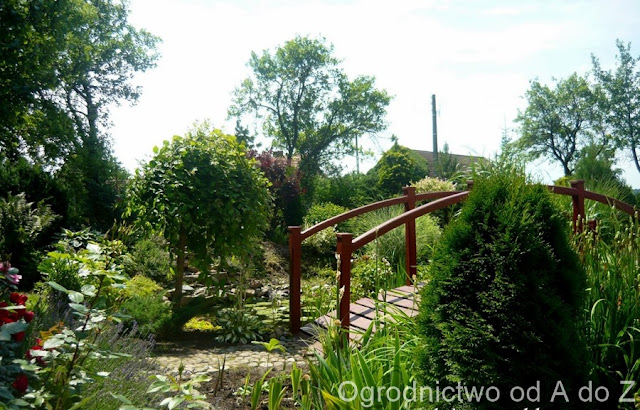 Etiquettes Pour Arbres Et Arbustes Pdf Free Download