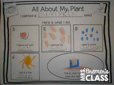 Lots of fun ideas and hands on activities for students to learn about plants. Includes planting seeds and recording observations! Perfect for a spring theme. K-1 #kindergarten #1stgrade #science #plants #plantunit #spring