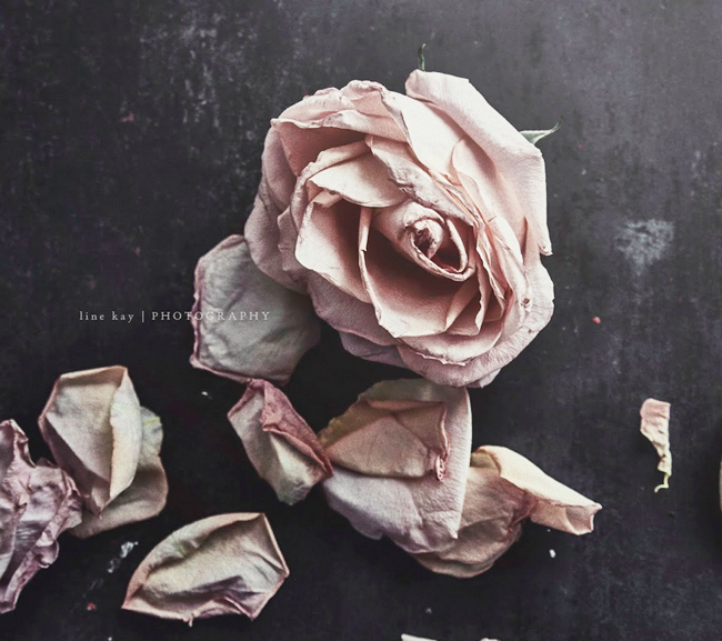 decoracion-raw-tendencias-decorativas