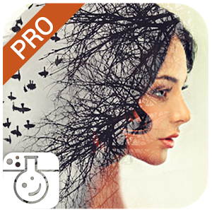 Photo Lab Pro v3.5.6 build 4708 Paid APK Photo Lab Pro v3.5.6 build 4708 Paid APK
