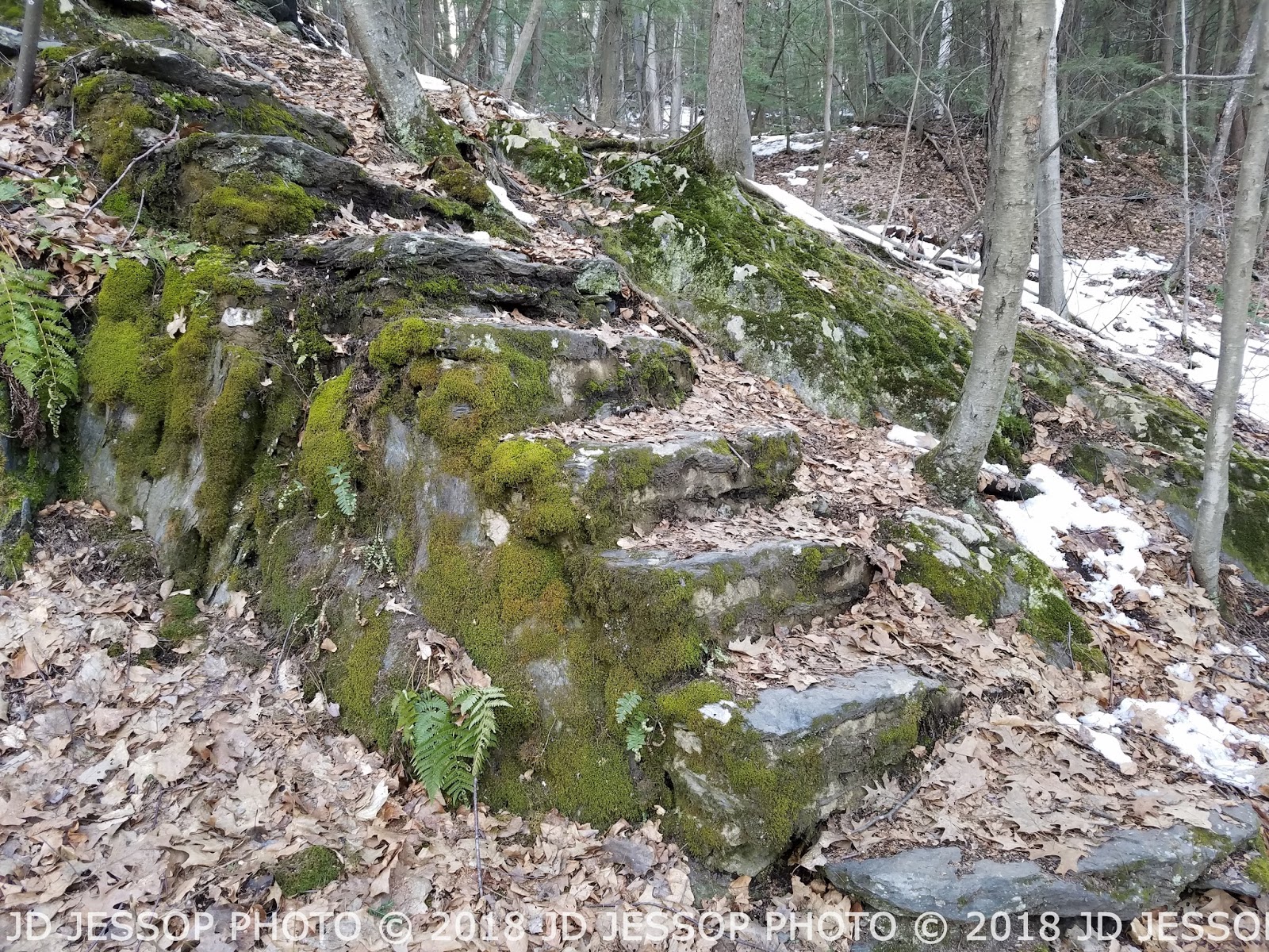 American Tales & Trails Brattleboro Retreat Tower Haunted Asylum