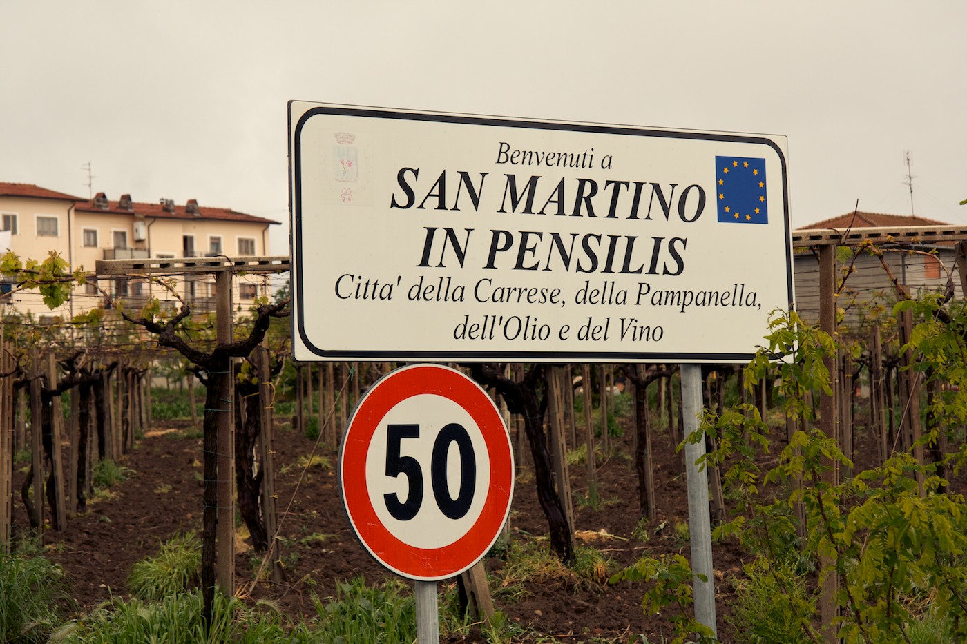 Postcards from Italy 2012 San Martino in Pensilis, continued