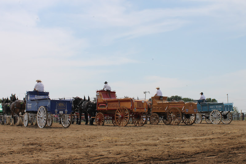 Cornerstone Retreat Murray County Classic Draft Horse Show Slayton MN