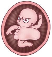 Herseyin Hizla Degistigi Bir Yoldayim Vucudum Duygularim Hayatim Planlarim Ve Sen Agustos 2016