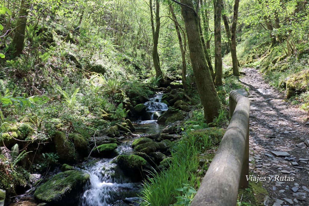 Camino a la Cascada Salgueira, Ruta del Agua, Taramundi, Asturias