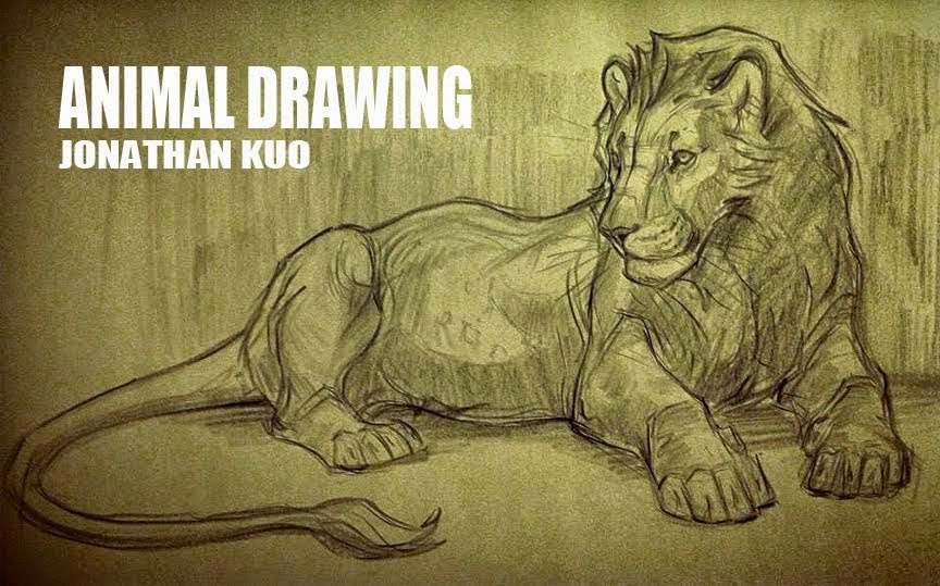 animal drawing fall 2014