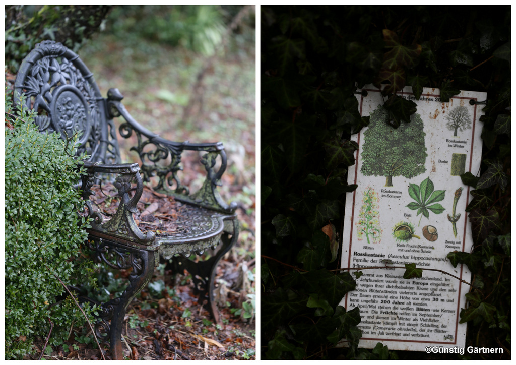 Gartenblick Gartenfotografie Schloss Dennenlohe Deutscher Gartenbuchpreis 2014