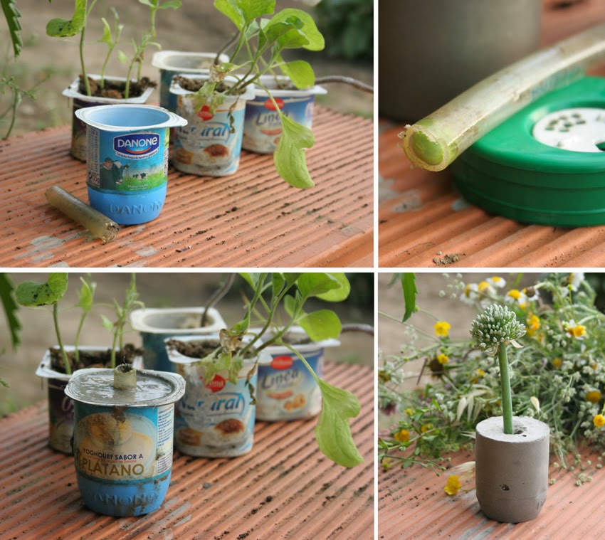 Diy floreros de cemento con botes de yogur reciclados y tubo de goma