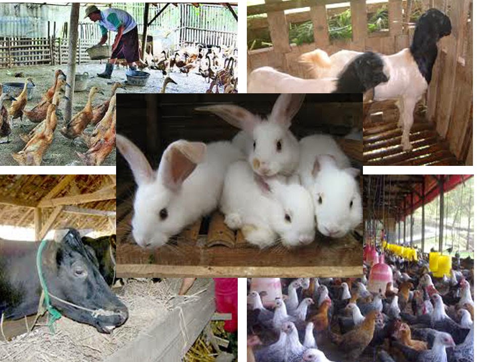 Kliping Jenis Pekerjaan Yang Menghasilkan Barang Dan Jasa Kumpulan Kerjaan