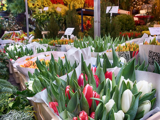 amsterdam marché aux fleurs