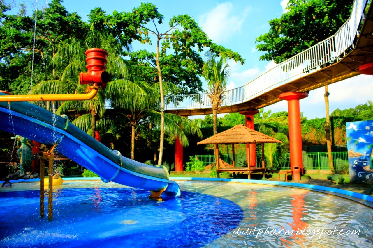 Курс аквапарк Курс аквапарк