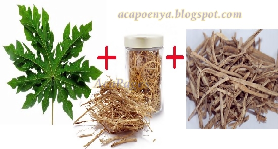 Obat Herbal Penyakit Keputihan Obat Herbal Penyakit Keputihan