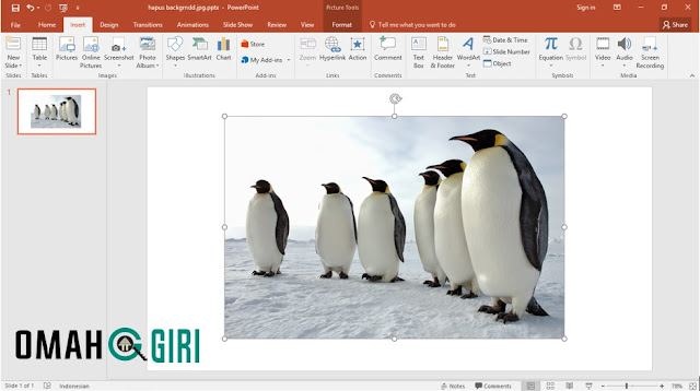 Menghapus Background Foto Dengan Powerpoint Insert Gambar yang ingin di hapus backgroundnya