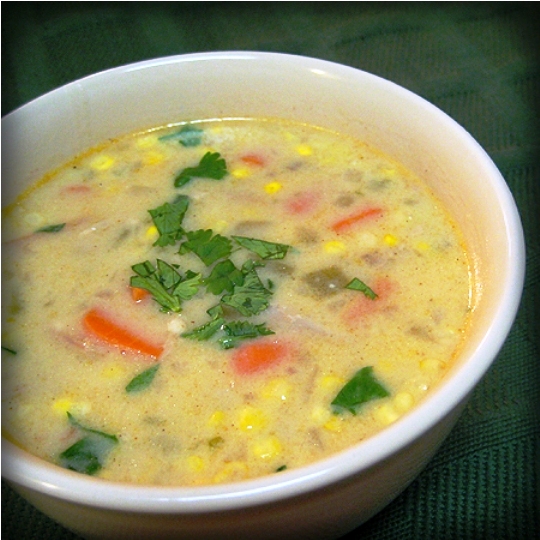 The Bestest Recipes Online Creamy Mexican Turkey Soup the-bestest-recipes-online-creamy-mexican-turkey-soup