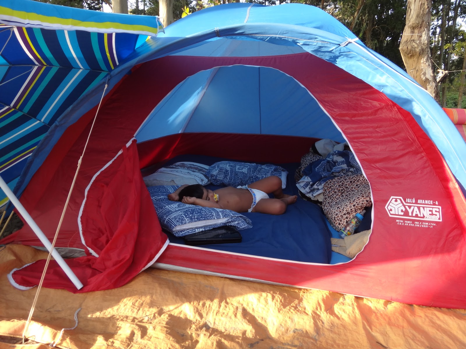Camping Mama levará franquia para acampar