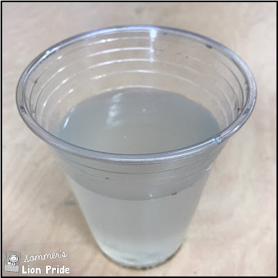 a plastic cup full of coconut water